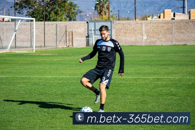 365bet平台生态图